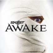 Skillet - Hero