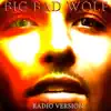 Big Bad Wolf (Radio Version) - Single album lyrics, reviews, download