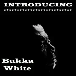 Introducing Bukka White - Bukka White