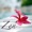 Zen Music Garden - Zen Spa