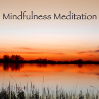 Relaxing Mindfulness Meditation Relaxation Maestro - Mindfulness Meditation Spiritual Healing – Chillout Relaxation Music for Meditation, Relax and Sleep artwork