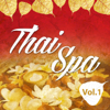 Thai Spa, Vol. 1 - D.MUŠIČ