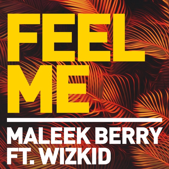 Cover artwork for Feel Me (feat. Wizkid)