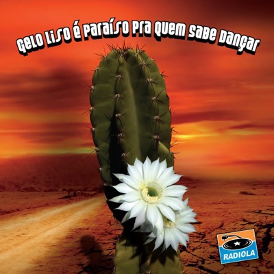 Gelo Liso É Paraíso pra Quem Sabe Dançar - Radiola