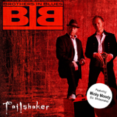 Tailshaker - Brothers in Blues