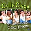 Grandes Éxitos Con Chino y Nacho (feat. Chino y Nacho)