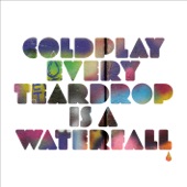 Every Teardrop Is a Waterfall artwork