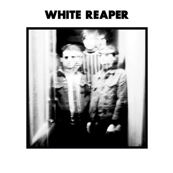 Cover artwork for Half Bad