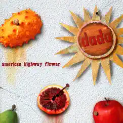 American Highway Flower by Dada album reviews, ratings, credits