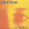 Bily Stin - Shalom lyrics