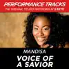 Stream & download Voice of a Savior (Performance Tracks) - EP