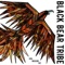 Black Arrow - Black Bear Tribe lyrics