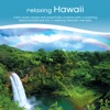 Relaxing Hawaii