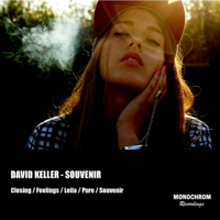 David Keller - Souvenir artwork