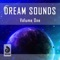 Reborn (Denis Sender Sunset Chill Remix) - Front lyrics