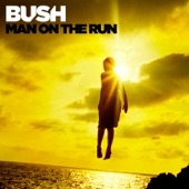 Man on the Run  cover