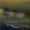 Beethoven, Weber & Donizetti: Trios For Flute, Bassoon & Piano