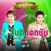 ยินดีรับเดน artwork