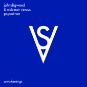 Awakenings (John Digweed & Nick Muir vs. Psycatron) [feat. Psycatron] artwork