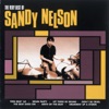 The Very Best of Sandy Nelson artwork