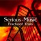 Every Single Part of Me (feat. Paul Dempsey) - Serious-Music lyrics