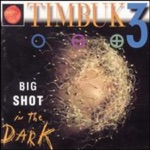 Timbuk 3 - Big Shot In the Dark