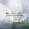 la vie en rose (feat. Osamu Hidai) - Cruyff In the Bedroom lyrics