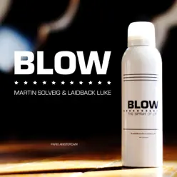 Blow - Single - Martin Solveig