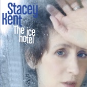 The Ice Hotel (Radio Edit) artwork