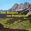 Das Original Dachstein Echo - Auf meiner steirischen Harmonika (Polka)