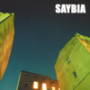 Saybia - The Second You Sleep artwork
