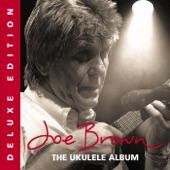 The Ukulele Album (Deluxe Edition) artwork