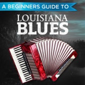 A Beginners Guide to: Louisiana Blues artwork