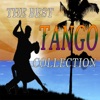 The Best Tango Collection (Dance Tango Hits)