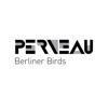 Berliner Birds (feat. Steven Craenmehr) - Single artwork