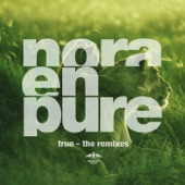 True - The Remixes - EP artwork