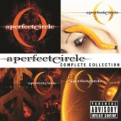 Rose - A Perfect Circle
