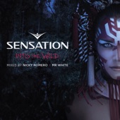 Sensation Into the Wild (Continuous Mix By Nicky Romero) artwork