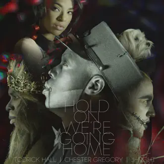 Hold On We're Going Home (feat. Chester Gregory & J-Light) - Single by Todrick Hall, Chester Gregory & J-Light album reviews, ratings, credits