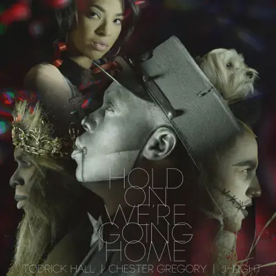Hold On We're Going Home (feat. Chester Gregory & J-Light) - Single - Todrick Hall