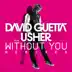 Without You (Remixes) [feat. Usher] - EP album cover