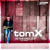 In the End (2015 Mixes) - EP