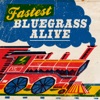 Fastest Bluegrass Alive, 2014