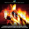 Just Fire: 2 Hours of Sounds from the Natural World (Crackling Fireplace Flames for Sleep & Relaxation) album lyrics, reviews, download