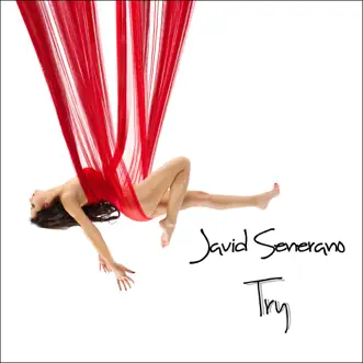 Try (Remixes) by Javid Senerano album reviews, ratings, credits