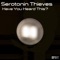 Sampler History - Serotonin Thieves lyrics