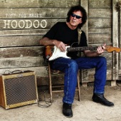 Tony Joe White - Who You Gonna Hoodoo Now?