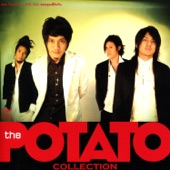 Potato the Collection Kaub Koon Tee Ruk Gun artwork