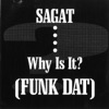 Why Is It? (Funk Dat) [Remixes]