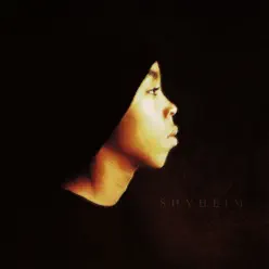 AKA the Rugged Child (Remaster) - Shyheim